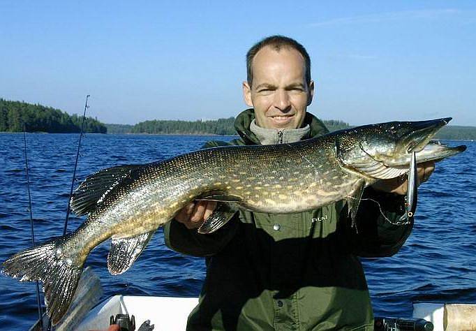 Erfolgreich mit Rappala. Erfolgreich mit Rappala.